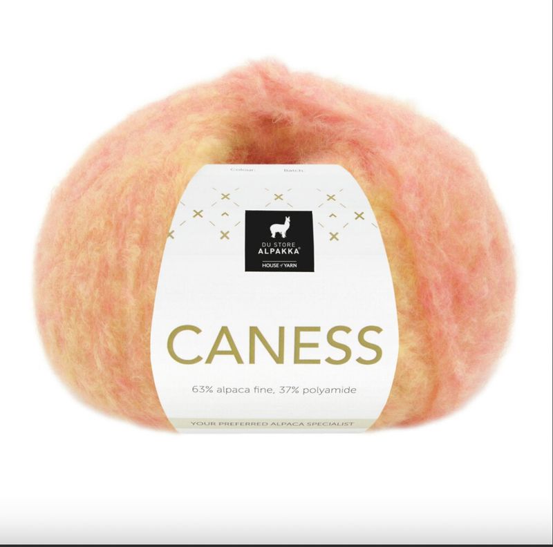 2503 Caness Sunshine 